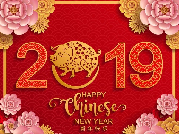 金豬送喜辭舊歲，雙志陪您慶新春！
